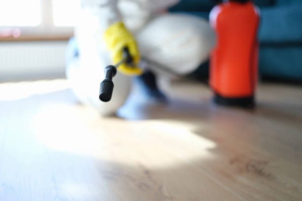 Sanford, FL Mold Removal Company