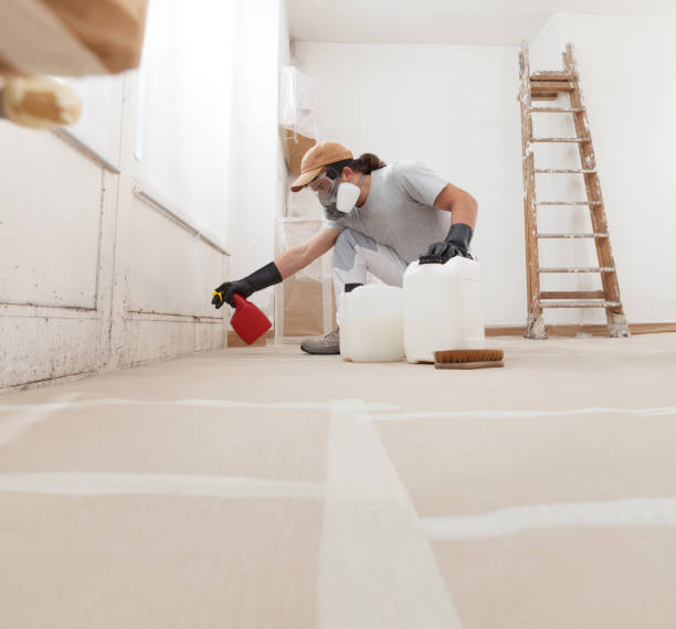 Mold Removal for HVAC Installations in Sanford, FL